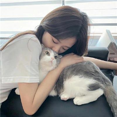 如我们所见